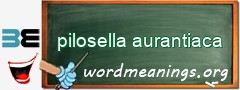 WordMeaning blackboard for pilosella aurantiaca